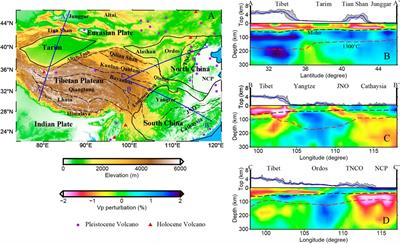 Effect of rheological heterogeneities on the lithospheric deformation of the Tibetan Plateau and neighbouring regions
